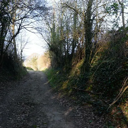 马丁皮舍旅馆 *