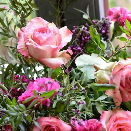 马丁皮舍旅馆 Court-Saint-Etienne