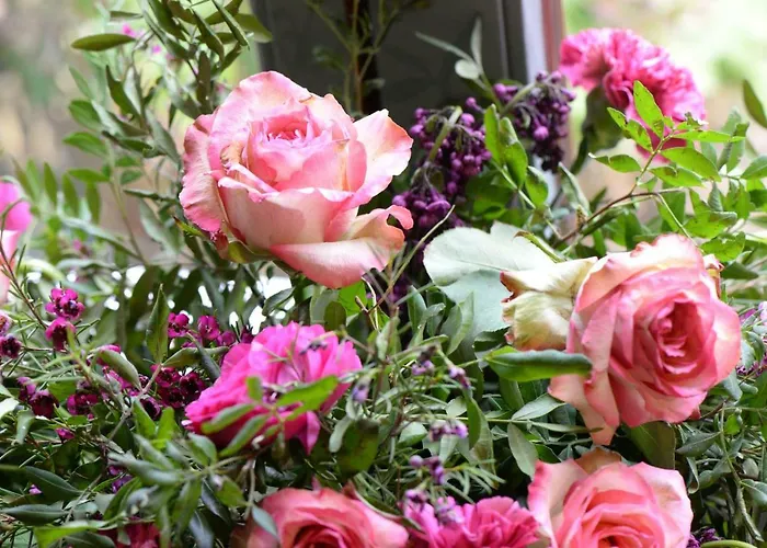 Martin- Pecheur Court-Saint-Etienne